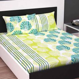 divine casa 120 TC Calming Shells King Size Bedsheet with 2 Pillow Covers image 1