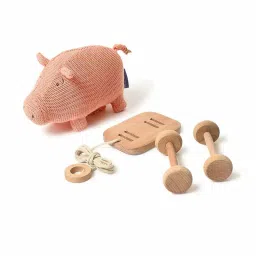 miarcus Pig Push & Pull Soft Plush Toy image 1