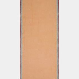 satya paul The Will-O-Wisp Dupatta image 2