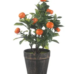 foliyaj Artificial Orange Bonsai Tree with Pot image 2