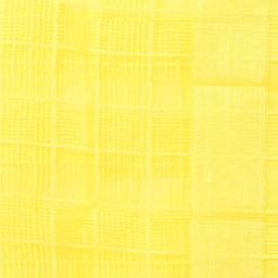 aurelia Self-Design Dupatta with Tassels image 3