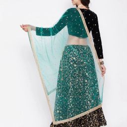 clora creation Embellished Net Dupatta with Lace Border image 3