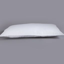 home centre Set of 2 Rectangular Filled Pillows 16" x 24" image 3