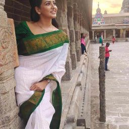 saree mall Checked Saree with Contrast Border image 3