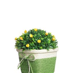 foliyaj Set of 2 Artificial Flower Plants with Pots image 5
