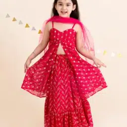 Embellished Lehenga Choli with Dupatta Set-image-51