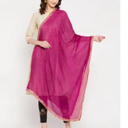 Embellished Woven Dupatta-picture-29