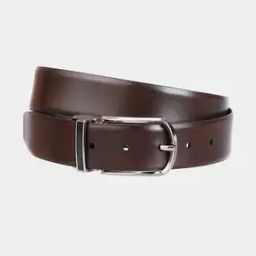 The Reversible Belt-image-20