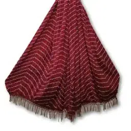 molcha by babita singh Women Printed Dupatta with Tassels-picture-2
