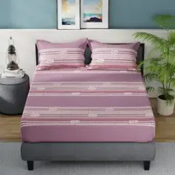 nautica Cotton Bedsheet with 2 Pillow Covers-picture-31