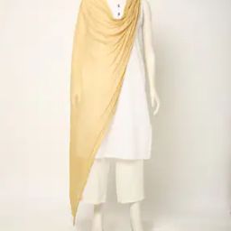 Crushed Dupatta with Beaded Hems-23