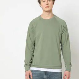 Men Slim Fit Crew-Neck Sweatshirt-picture-35