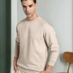Men Heathered Regular Fit Crew-Neck Sweatshirt-image-87