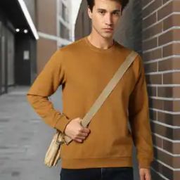 Men Regular Fit Crew-Neck Sweatshirt-picture-32