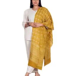 Women Abstract Stole-image-74