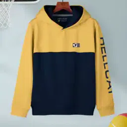 Colorblock Hoodie with Full Sleeves-image-63