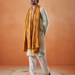 Men Striped Stole with Fringed Detail-image-92