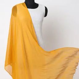 Crushed Dupatta with Beaded Hems-picture-15