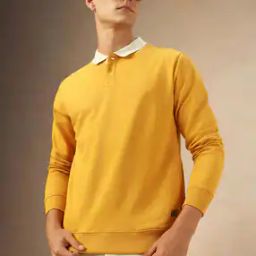 Men Regular Fit Sweatshirt-image-59