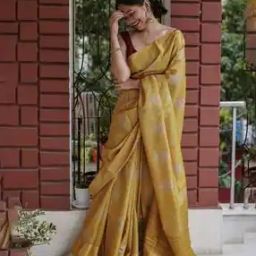 Soft Linen Cotton-Silk Saree with Jacquard Border-image-56