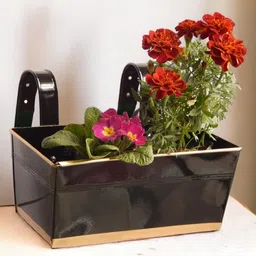 ecofynd  Black & Brown 3Pcs Metal Rectangle Balcony Hanging Planters-image-15