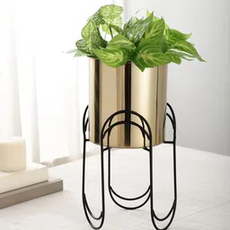 Maison Modern Trifecta Gold-Toned 2 Pieces Stainless Steel Planter With Arbor-image-4