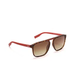ENRICO Men Brown UV Protected Aviator Sunglasses EN P+ 4018 C3-10