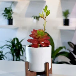 Garden Deco Red Succulent Artificial Flower-29