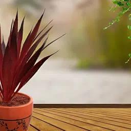 Garden Deco Red Succulent Artificial Flower-36