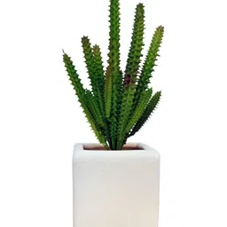 Garden Deco Green Succulent Artificial Flower-picture-15