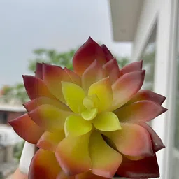 Garden Deco Red Succulent Artificial Flower-6