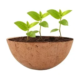 Garden Deco Unisex Brown Round Hanging Basket Garden Accessories-image-2