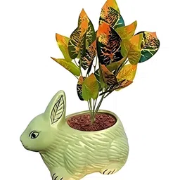Garden Deco Green 1 Pc Succulent Artificial Plant without Pot-image-99