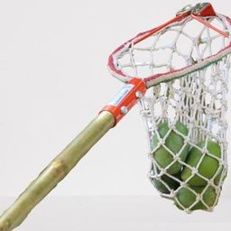 generic Tarpon Mango Plucker with Net | Fruit Harvester Tool | Garden Tool | Pack of 1 | 5-7 kg Capacity image 5