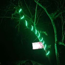 SPARK WORLD 600 Green Rope LED String Lights image 2