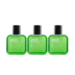 Wild Stone Men Pack Of 3 Forest Spice Perfume 50 ml each image 1