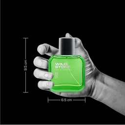 Wild Stone Men Pack Of 3 Forest Spice Perfume 50 ml each image 5