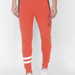 SPYKAR Men Orange Relaxed Fit Pure Cotton Joggers-image-38