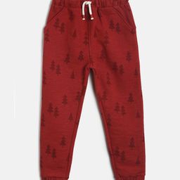 MINI KLUB Boys Rerooted Nature Printed Mid-Rise Cotton Joggers-image-14