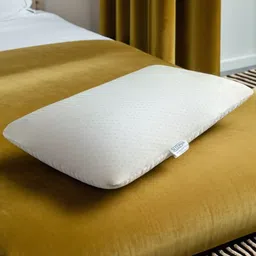 Sleepsia White Solid Therapedic Pillows-24