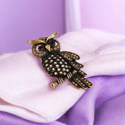 Mahi Copper-Toned Owl-Shaped Stone Studded Lapel Pin Brooch-image-39