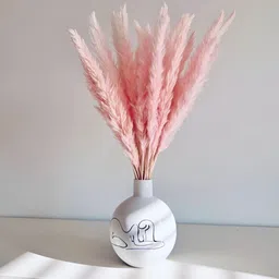 Artecasa Dried Flower Mini Pampas Pink-picture-33