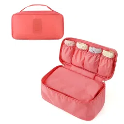 NFI Essentials Lingerie Organizer Bag, Portable Travel Storage Pouch for Bra, Panty, Socks-picture-29