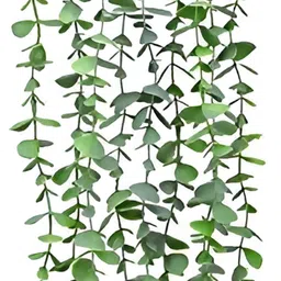 WELL ART GALLERY Green Regular Artificial Plant-image-77