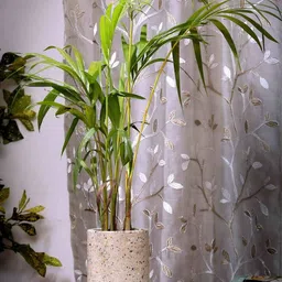 POSH-N-PLUSH Beige-Coloured Cylindrical Terrazzo Planter-26