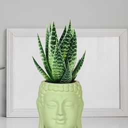 LASAKI Lime Green-Colored Buddha Textured Ceramic Planter-11