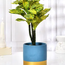 TAYHAA Blue & Gold-toned Colorblocked Ceramic Planter-image-66
