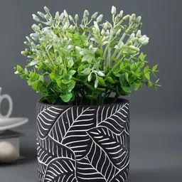 TAYHAA Black & White Leaf Pattern Textured Ceramic Planter-picture-18