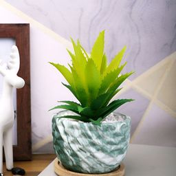 TAYHAA Green Aloe Vera Artificial Plant With Pot-43