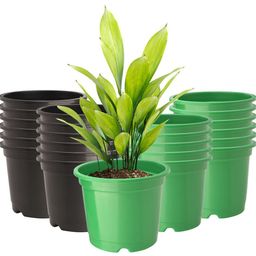 Kuber Industries Pack Of 24 Green & Black Planters-36